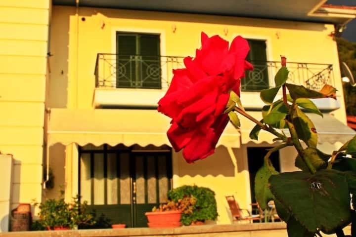 Guesthouse Bizani Neo Mpizani Buitenkant foto